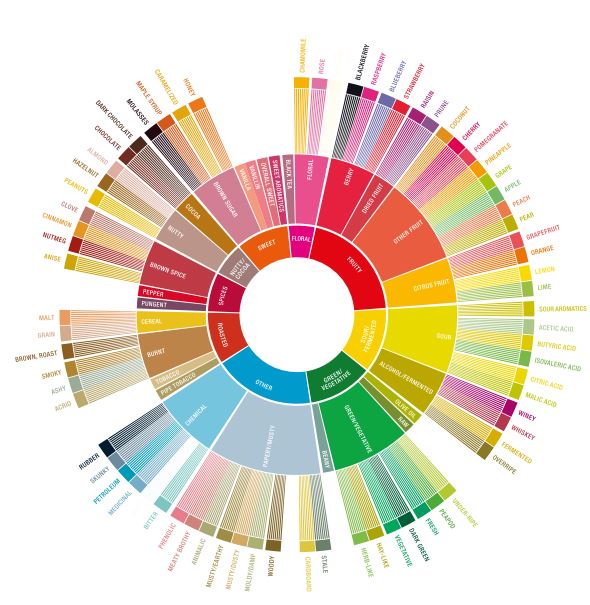 Specialty Coffee Wheel